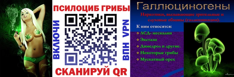 где купить   Печоры  blacksprut ссылки  Псилоцибиновые грибы мухоморы 